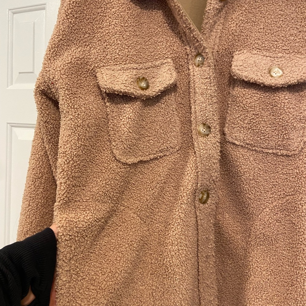 Teddy Shacket - image 2